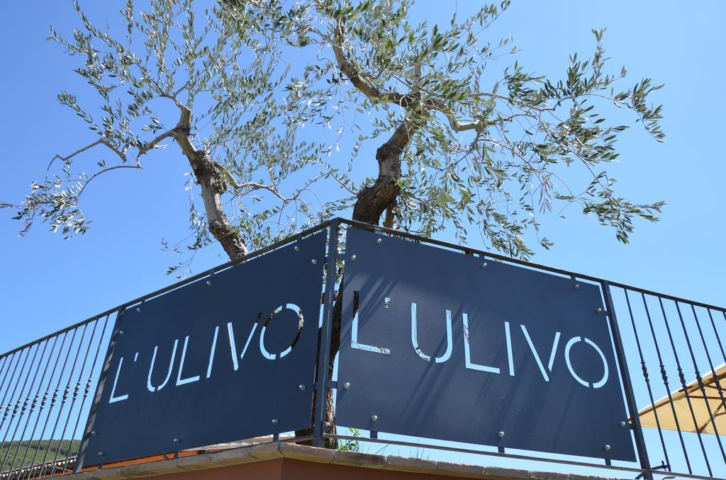 מלון טרווי Il Borgo Dell'Ulivo מראה חיצוני תמונה